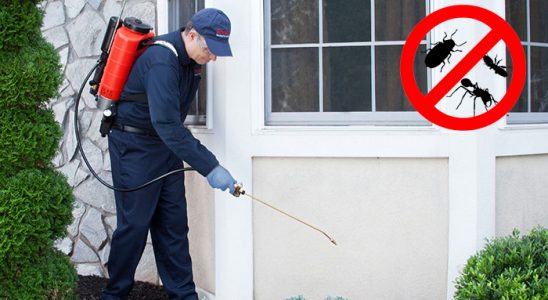 Nazımiye Dezenfeksiyon böcek ilaçlama ve haşere kontrolü — ilaclama-tr.com